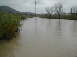 foto alluvione
