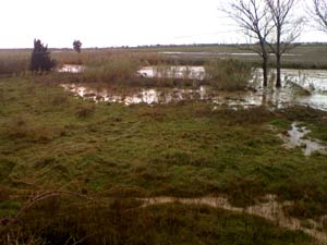 foto alluvione 16 dicembre 2008