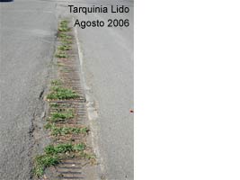 Tarquinia Lido _ Agosto 2006