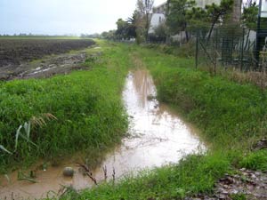 allagamento delle strade - 14 novembre 08
