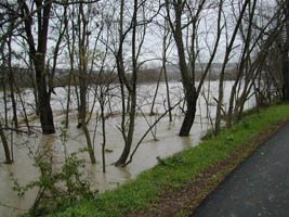 foto alluvione