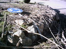foto alluvione