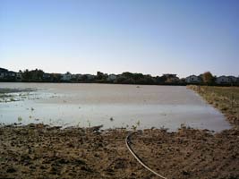 foto alluvione