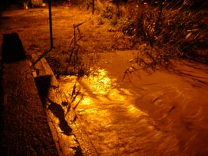 foto Tarquinia Lido, 16 dicembre 2008