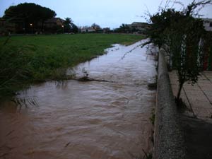 Tarquinia Lido, 16 dicembre 2008
