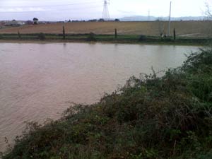 foto alluvione 16 dicembre 2008