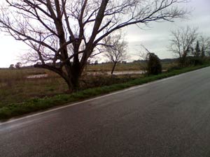 foto alluvione 16 dicembre 2008