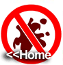 torna alla homepage